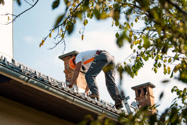 Best Solar Panel Roofing Installation  in Waymart, PA